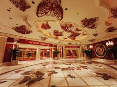 -拉斯维加斯永利酒店