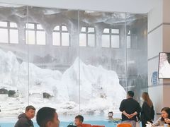 -帝企鹅自助餐厅•儿童岛•真企鹅(长隆企鹅酒店)