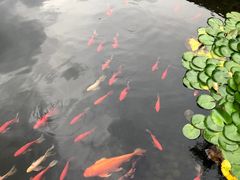 -昆明洲际酒店