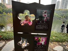 -重庆彩云湖湿地公园