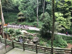 -青城山