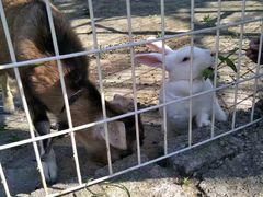 -武汉紫薇都市田园