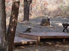 景点-百里山水画廊