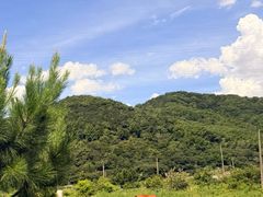 -宁波九龙湖开元度假村