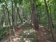 -罗田薄刀峰风景区