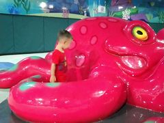 -青岛嘉年华主题乐园