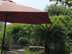 -西山樟坞健康果园枇杷杨梅采摘