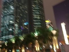 -陆家嘴空中步行连廊