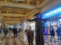 -澳门威尼斯人综合度假区
