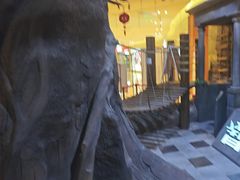 -暴风岛沉浸式体验馆(百联世纪店)