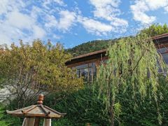 -徂徕山森林康养度假谷温泉
