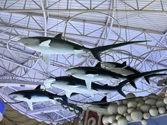-烟台海昌鲸鲨海洋公园