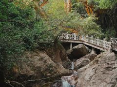 -杨家堂村