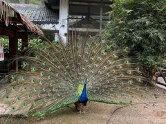 -黔灵山公园