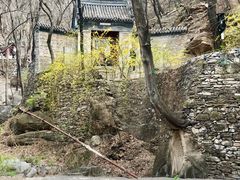 -北京上方山国家森林公园