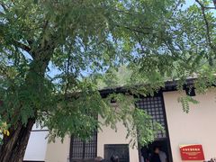 -西柏坡红色胜典景区