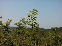-白马涧龙池景区