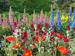 -国家植物园南园