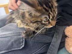 -博特宠物医院24h犬猫全科.骨科·异宠
