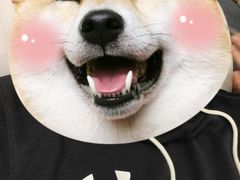 -良子健身(金融街店)