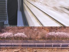 -居庸关长城