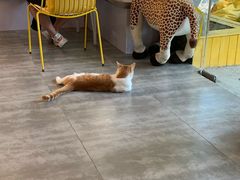 -五进制 Coffee Shop
