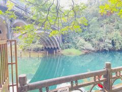 -鼎湖山风景区