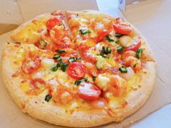 -达美乐比萨(朝阳路店)