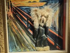 -成都泰迪熊博物馆