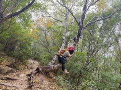 -灵山