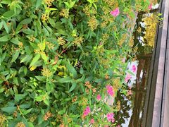 -白塘生态植物园