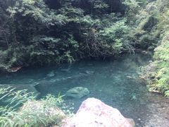 -西岭雪山大飞水景区