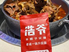 -浩爷羊蝎子火锅(望京店)