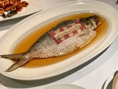 陈年花雕蒸鲥鱼-福1088