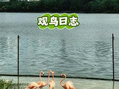 -南宁南湖公园