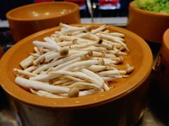 蘑菇-龍歌自助小火锅(李沧丽达店)