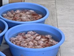 -林记兔头(特色店)