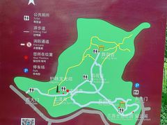 -上海佘山国家森林公园天马山园