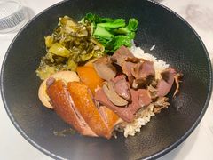 -MR鹅外