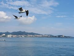 -刘公岛景区