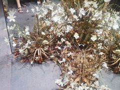 -成都许燎源现代设计艺术博物馆