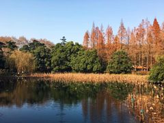 -杭州西湖风景名胜区-北街寻梦