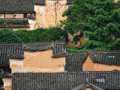 -杨家堂村