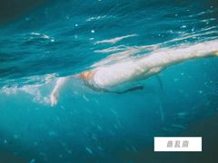 -苏米龙岛