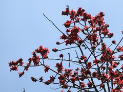 -攀枝花公园