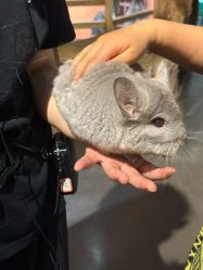 -Zoolung Zoolung动物主题公园(海信广场店)