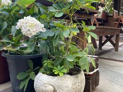 -拾光音乐餐酒吧(告庄星光夜市店)