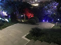 -飞凤山奥体公园