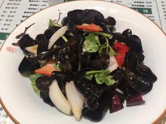 -沙枣树辣子鸡•新疆家常菜(喀什西路店)