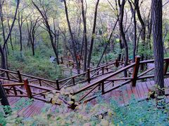 -大岭沟猕猴桃谷风景区